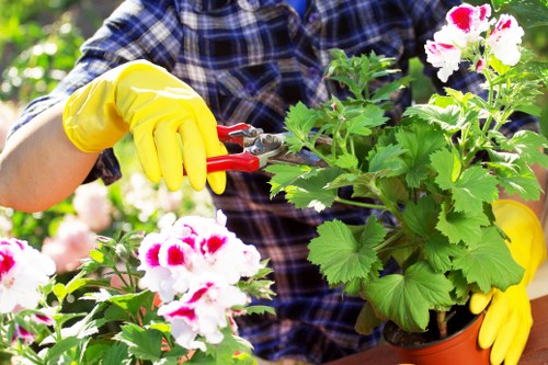 Professional garden maintenance work in a Yiewsley residential garden