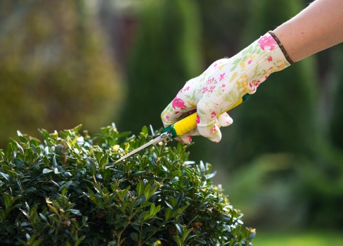 Local lawn care service for homes in Yiewsley