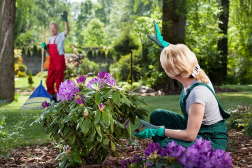 Landscape gardening service planning a Yiewsley garden redesign