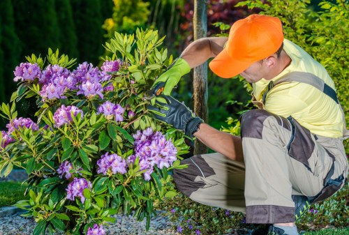 Removal of overgrown shrubs and green waste