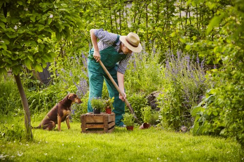 Lawn mowing service for a residential garden in Yiewsley