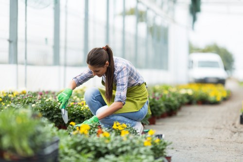 Supplier compliance audit documents for landscaping services
