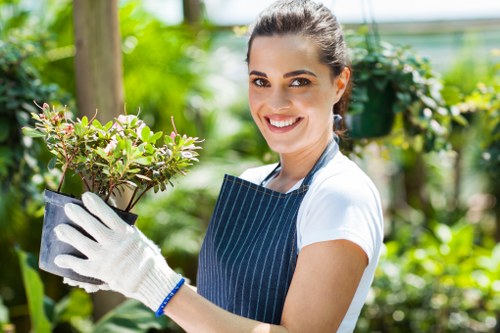 Professional insured rubbish company working safely in a garden