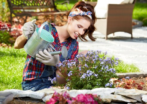 Professional lawn maintenance for local properties