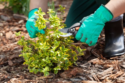 Screen-reader friendly content structure for Landscapers Yiewsley