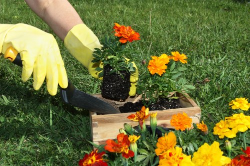 Planting plan for a Yiewsley home with mixed seasonal colour