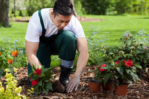 Professional landscaping work in Yiewsley