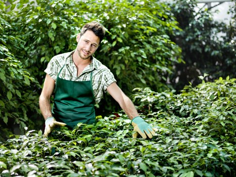 Garden preparation and planting for a Yiewsley home