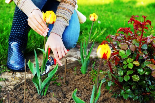 Patio and planting design by Yiewsley landscapers