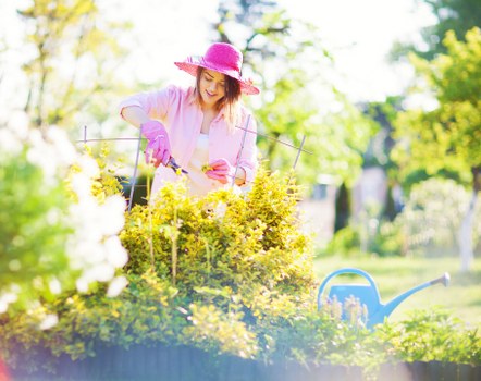 Risk assessment and safe work planning on a landscaping site