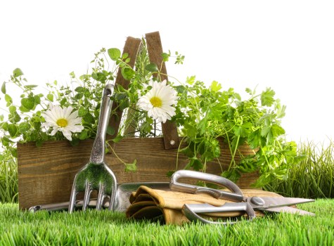 Local lawn mowing team working on a small Yiewsley garden