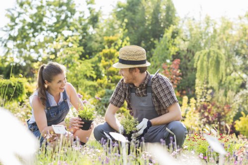 Garden clearance quote assessment in Yiewsley